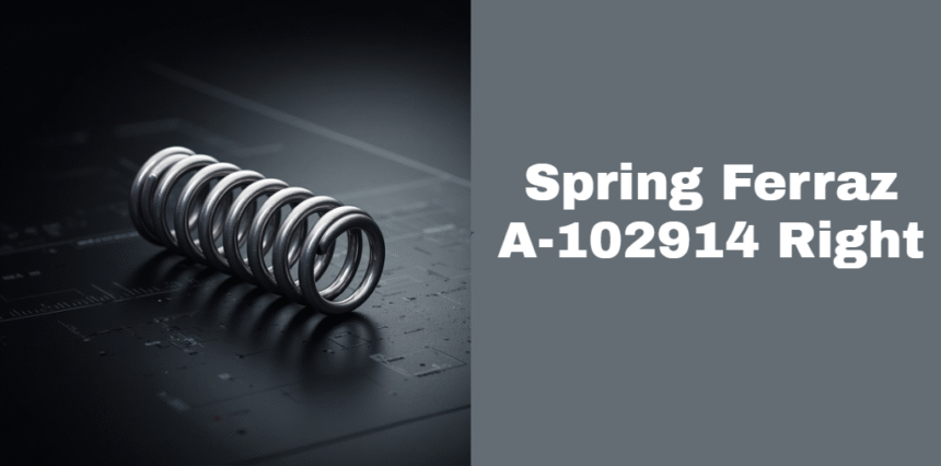 Spring Ferraz A-102914 Right